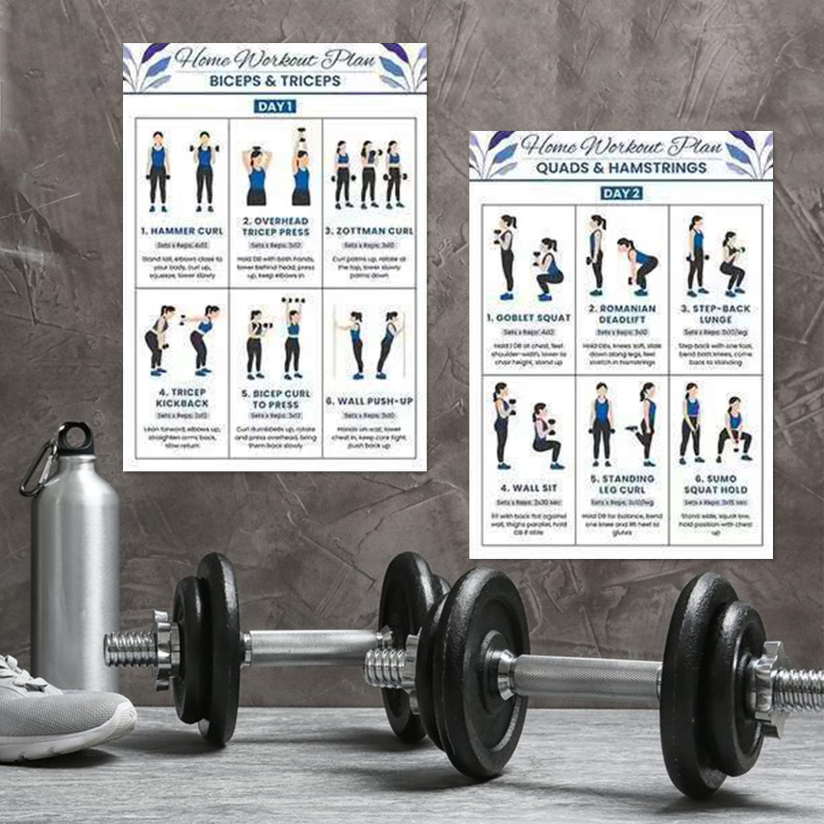 Tabla de entrenamiento de cuer - Home Gym Routine reseña y precio