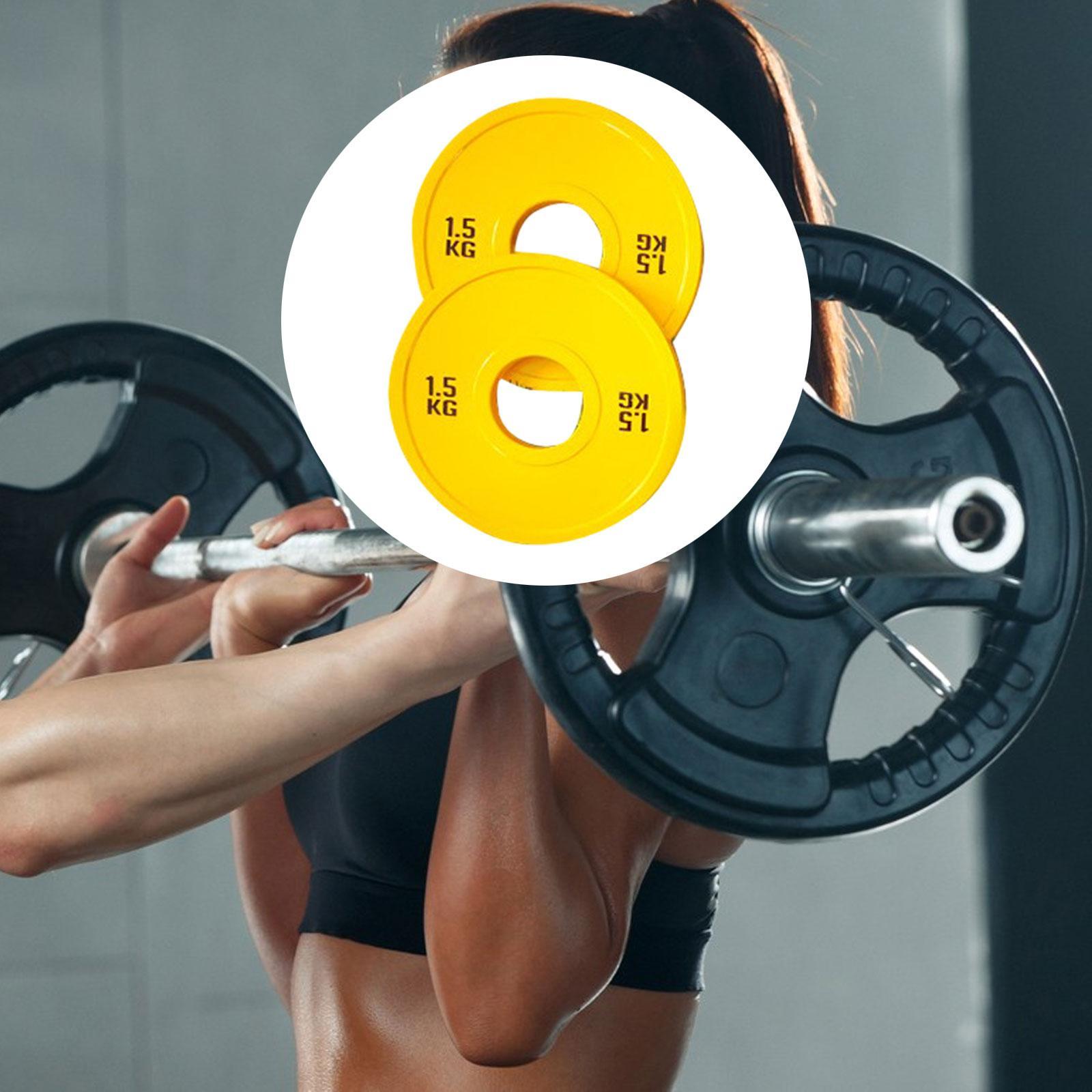 Micro Placas de pesas para ent - Home Gym Routine reseña y precio