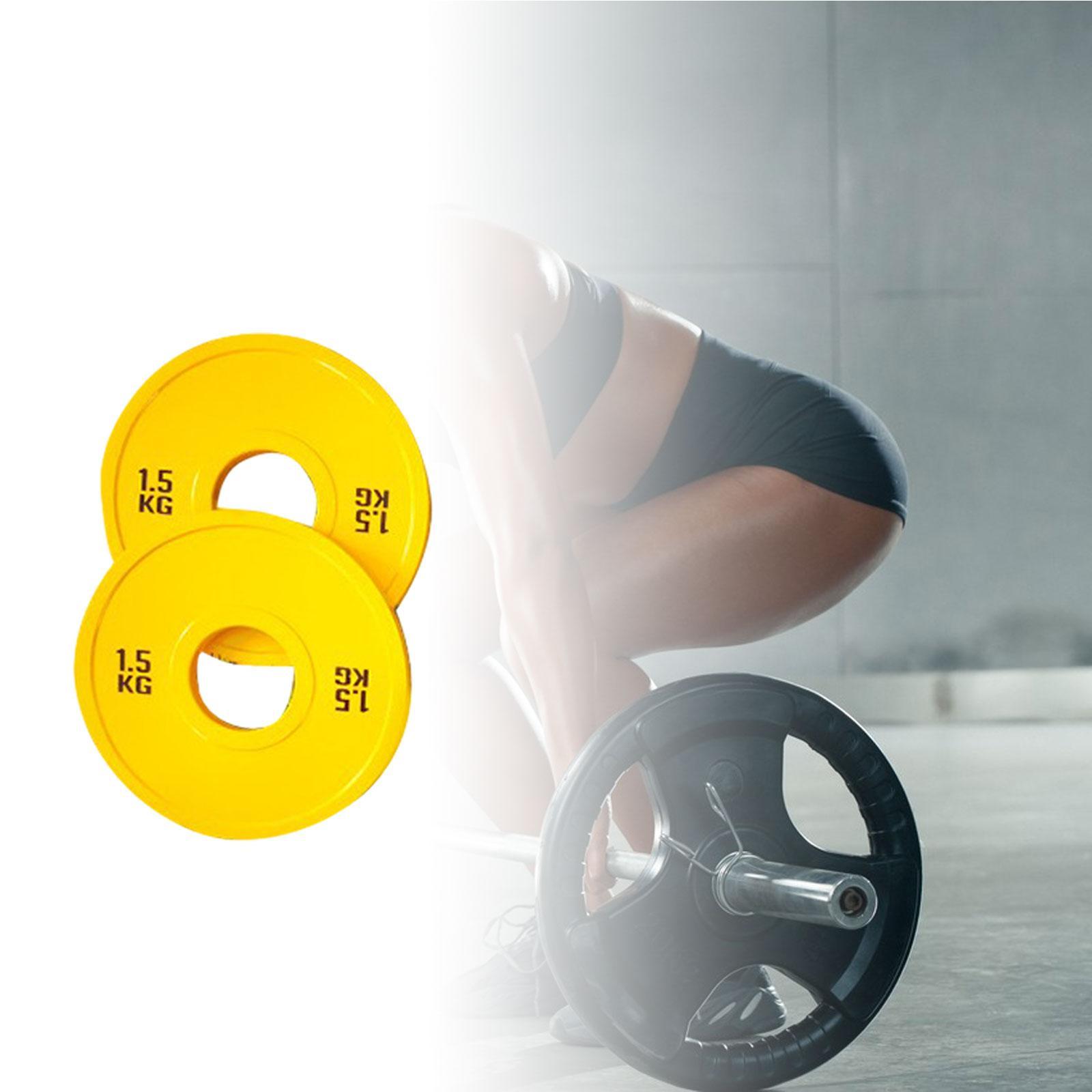 Micro Placas de pesas para ent - Home Gym Routine reseña y precio