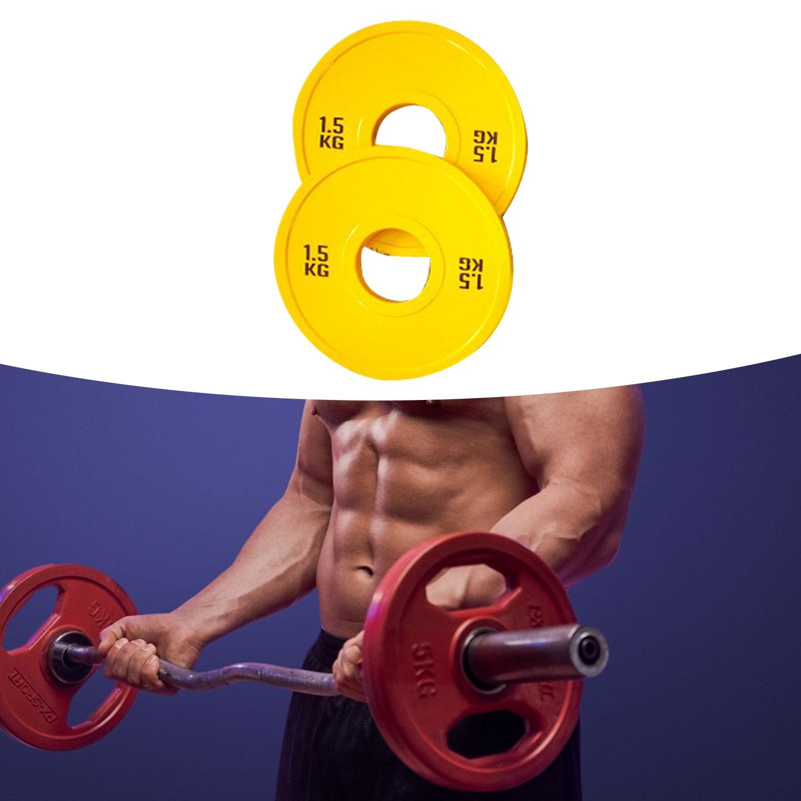 Micro Placas de pesas para ent - Home Gym Routine reseña y precio
