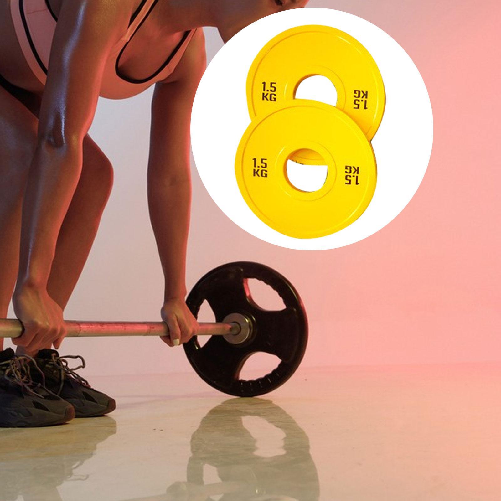 Micro Placas de pesas para ent - Home Gym Routine reseña y precio